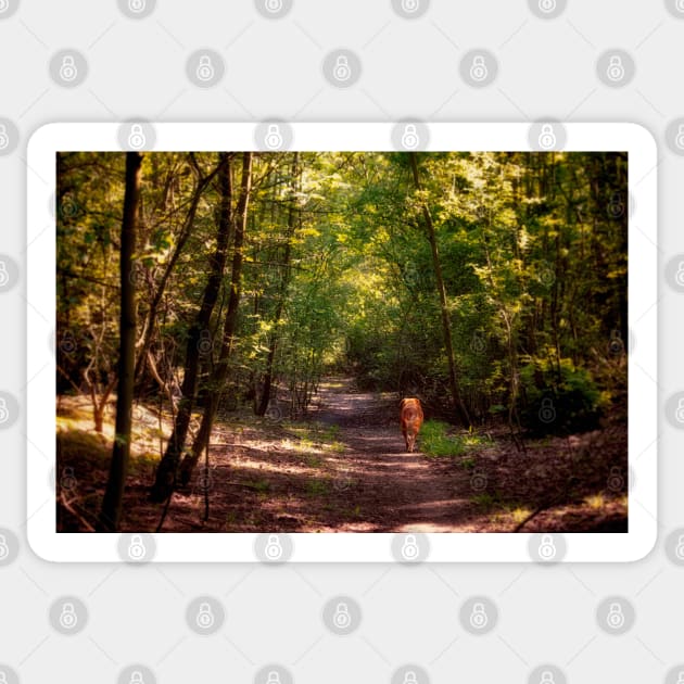 Woodland Walkies Sticker by InspiraImage